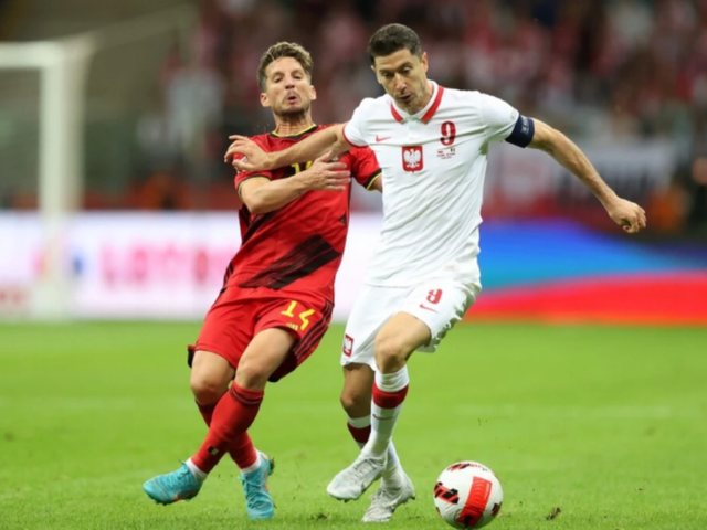 波兰乒乓球队血洗比利时乒乓球队，水谷隼制霸全场的简单介绍