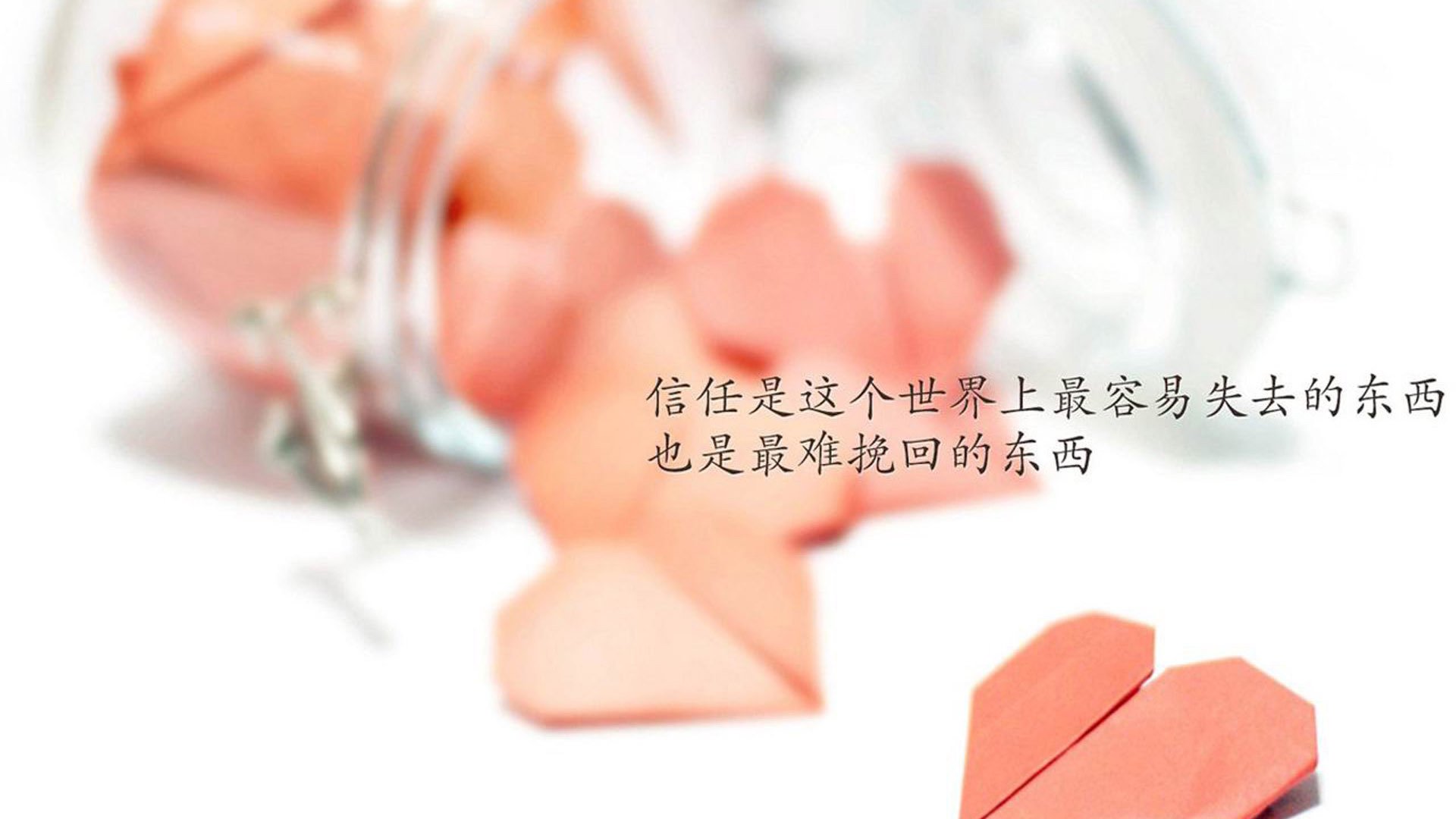 黑白直播体育-美加墨世界杯焦点战纪实，战车碾过汽车城，国王加冕淘汰赛