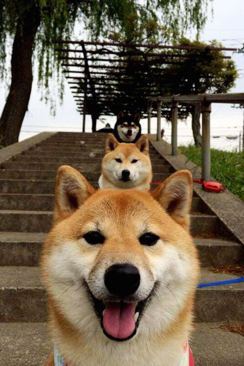 黑白直播体育-超时空连线,当鹈鹕封锁吉林,杜兰特的精神降临球场