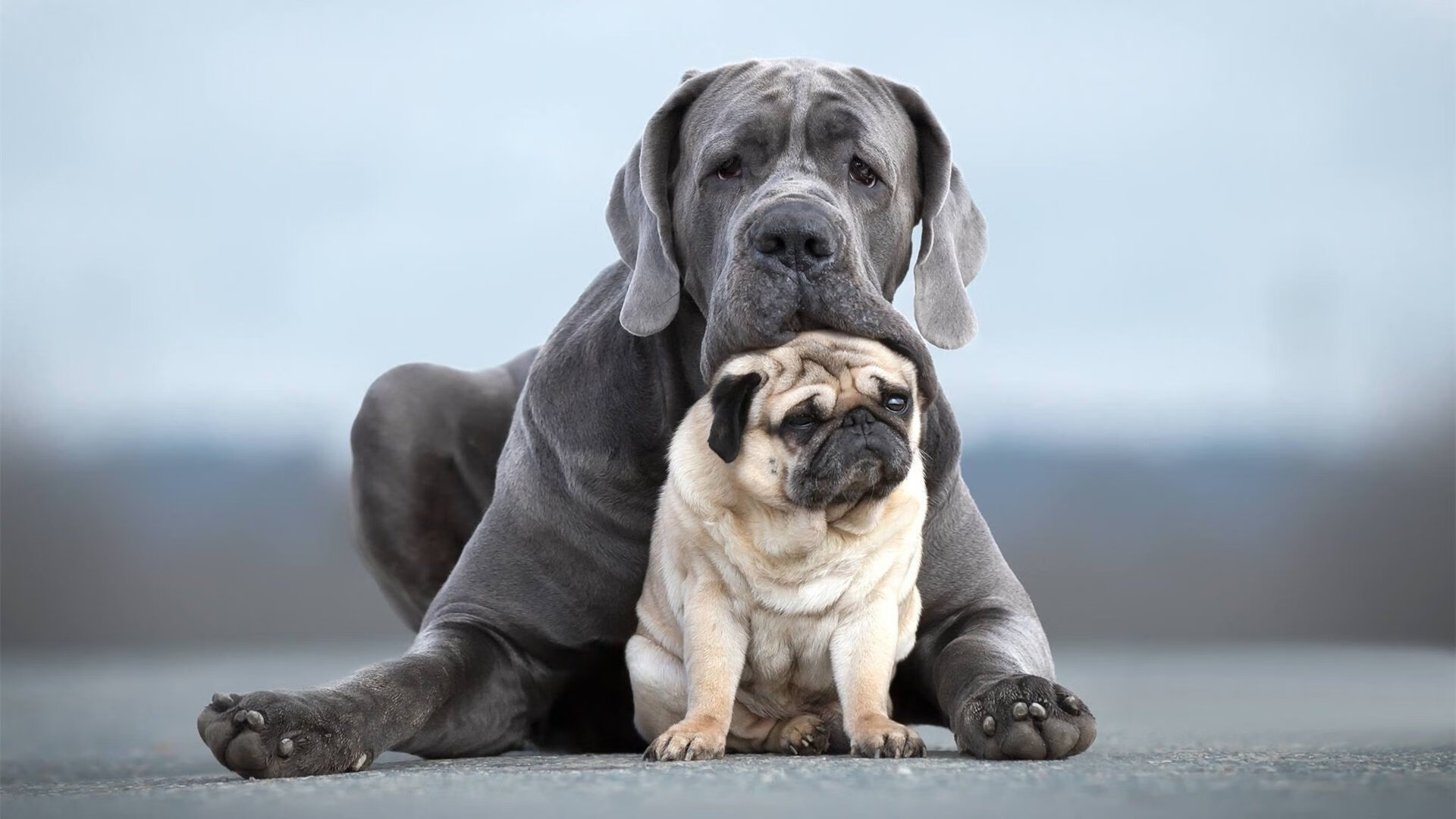 詹姆斯，决胜时刻的王者，骑士逆转勇士的永恒传奇