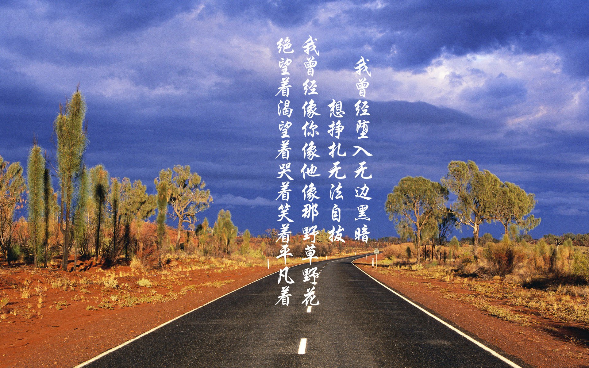 黑白直播体育-绿茵与硬木的交响,德甲争冠白热化,快船强势击溃开拓者