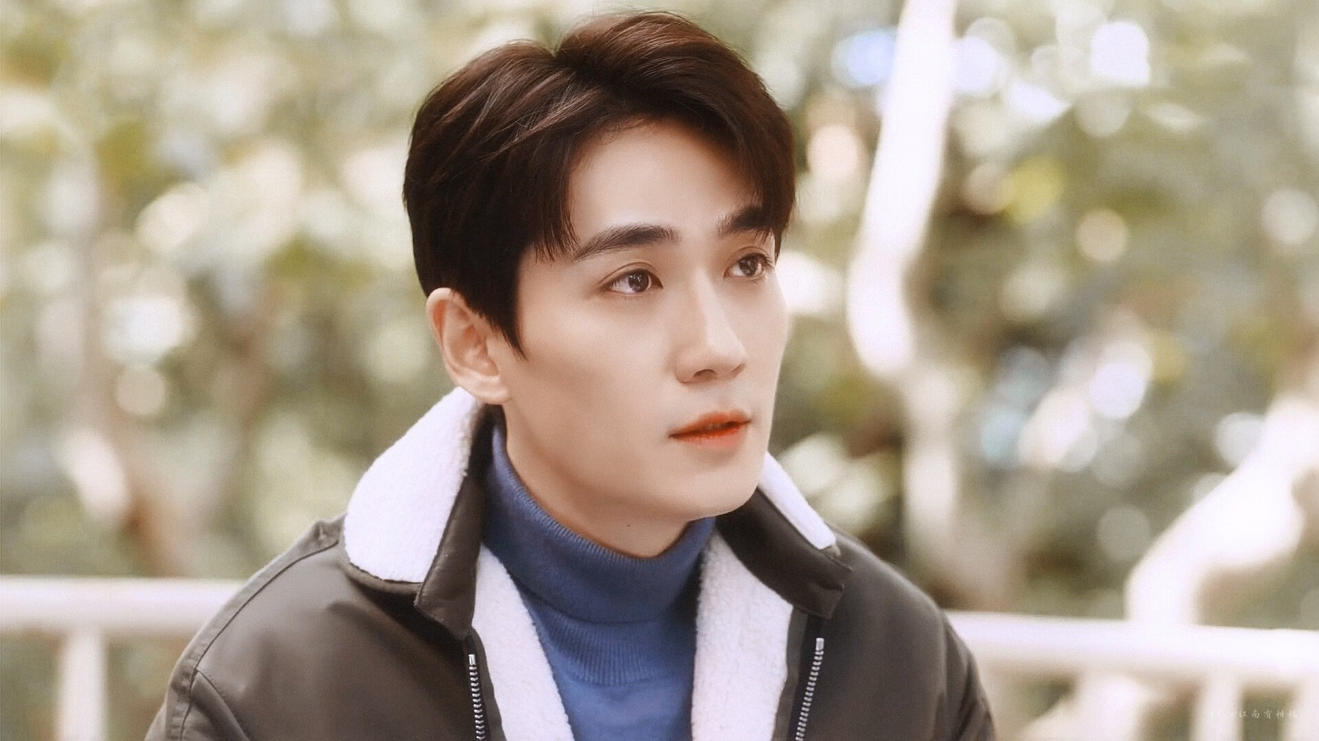 钢铁防线显神威，阿坎吉头槌定江山，苏格兰三球粉碎荷兰