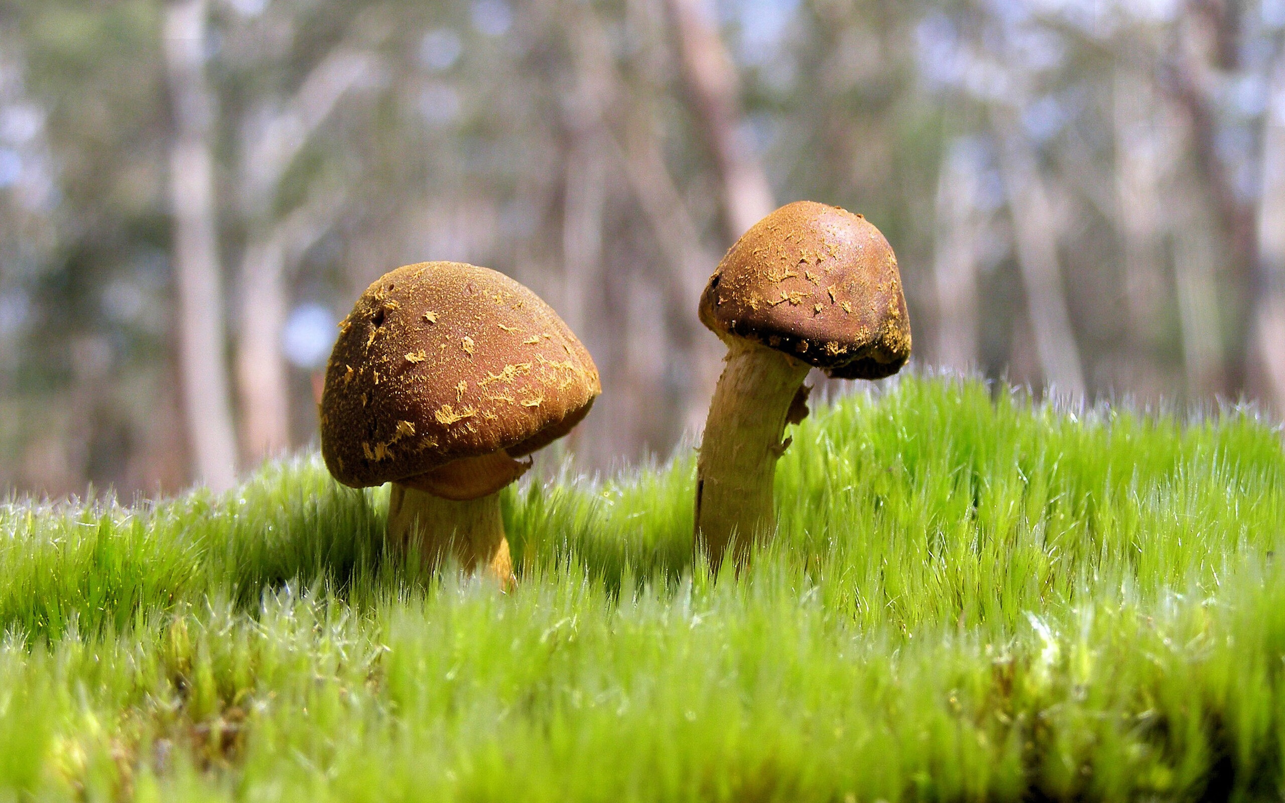 铁锁横江！乔治窒息式防守冻结吉林核心，魔术攻防一体碾压对手