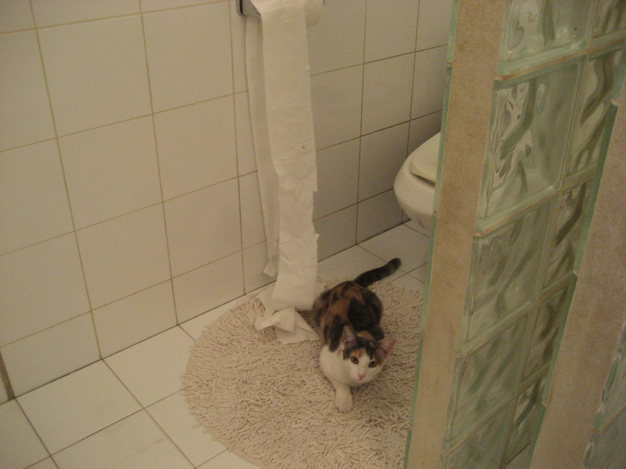 黑白直播体育-火力全开!智利正面击溃几内亚,托尼化身悬念终结者