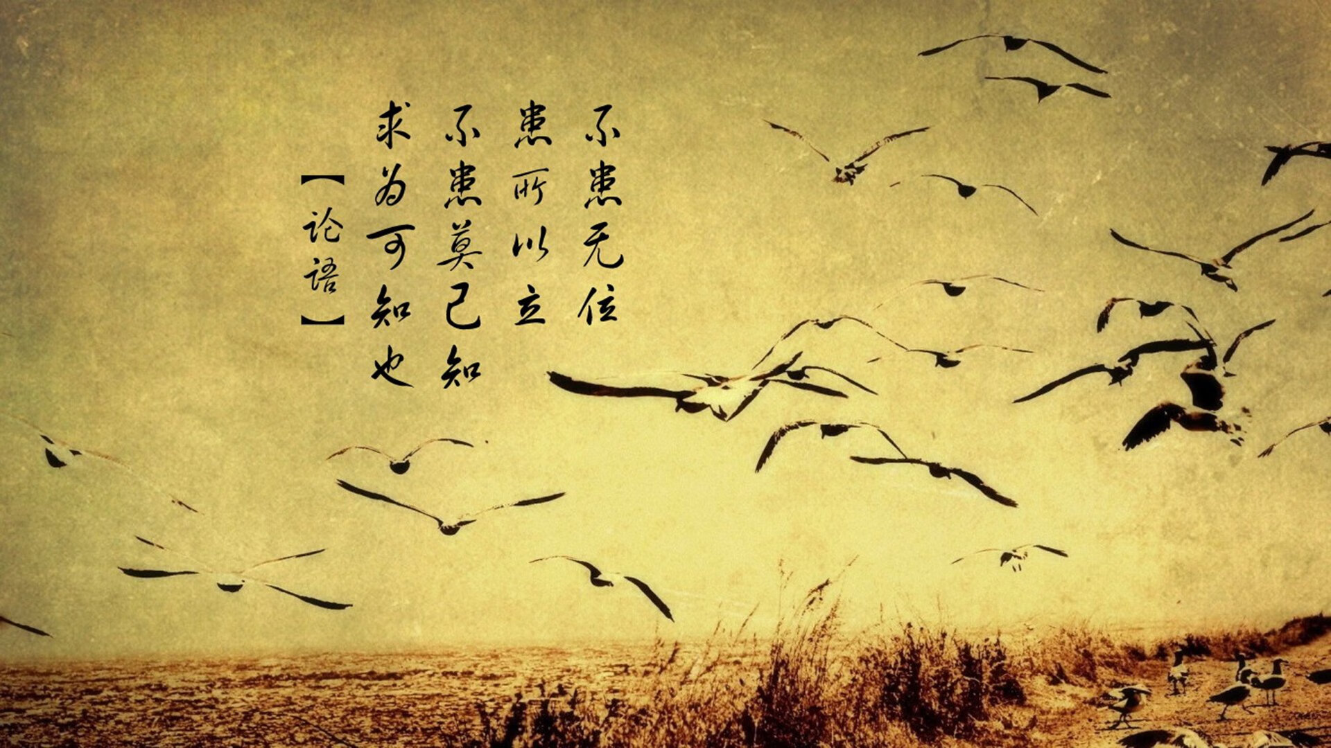 新秩序诞生,奥地利终结巴西霸权,莱万登顶世界排名之战