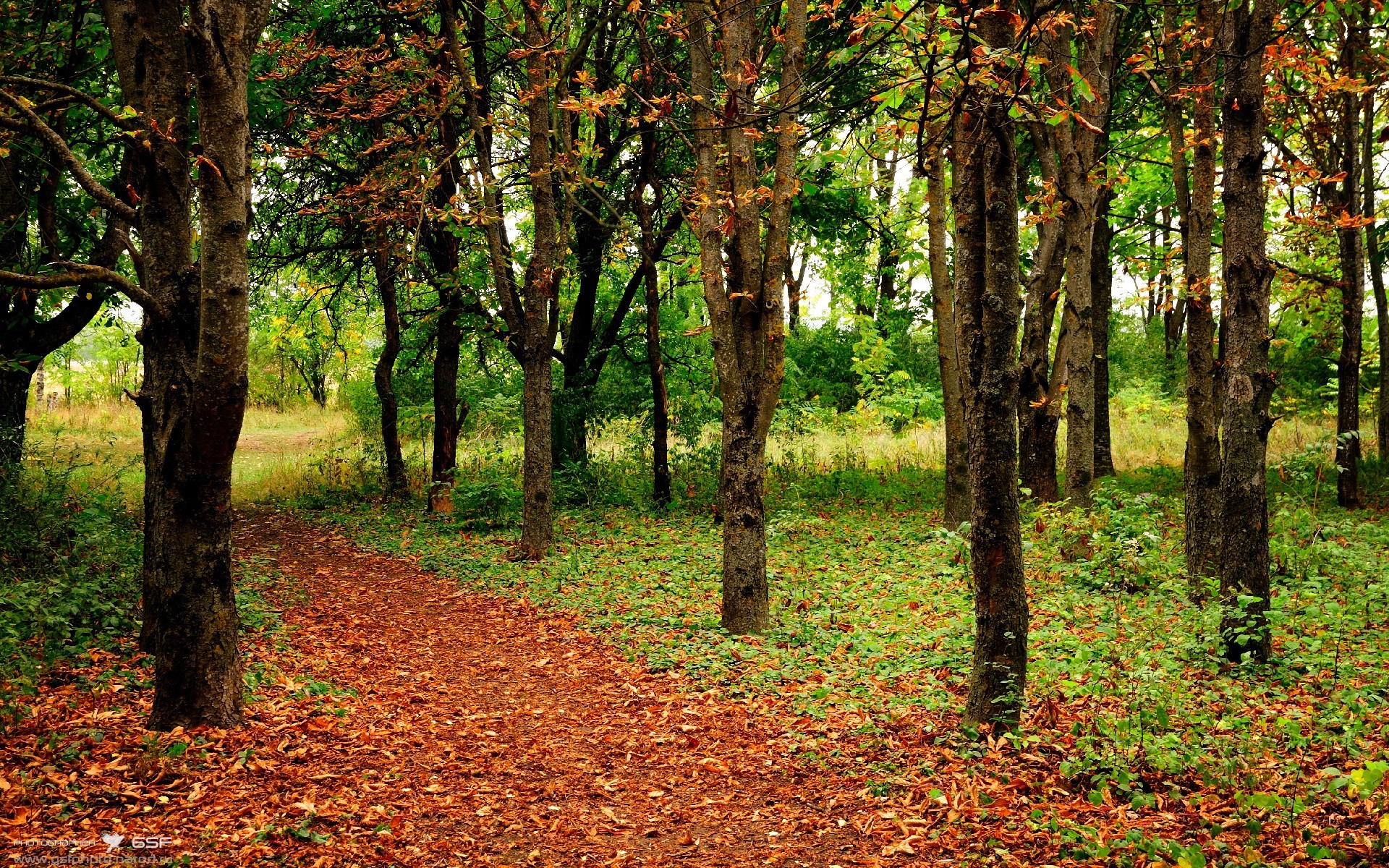 西甲国家德比之夜,特奥攻防转换核心铸就中场霸权
