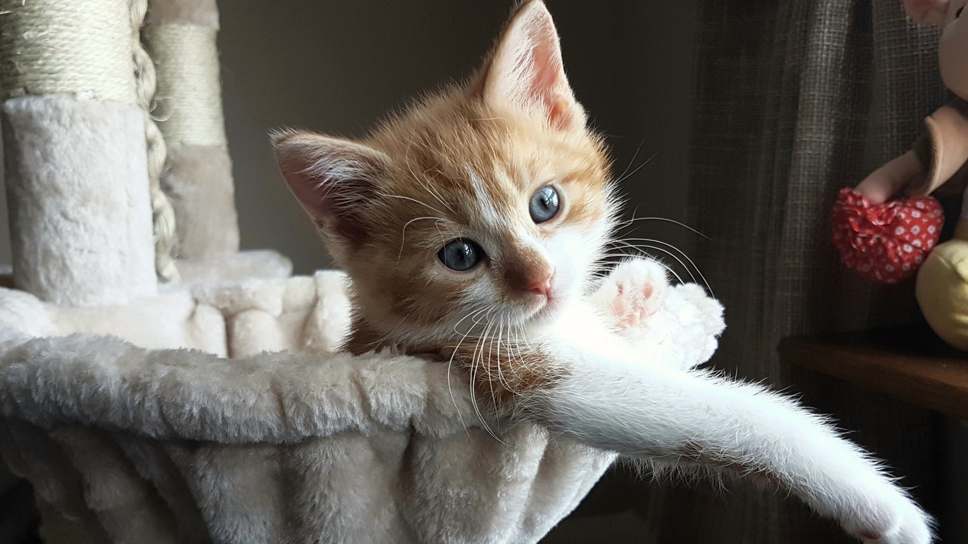 黑白直播在线观看nba-欧冠淘汰赛之夜,当克莱·汤普森的三分雨浇灭绿茵场上的悬念