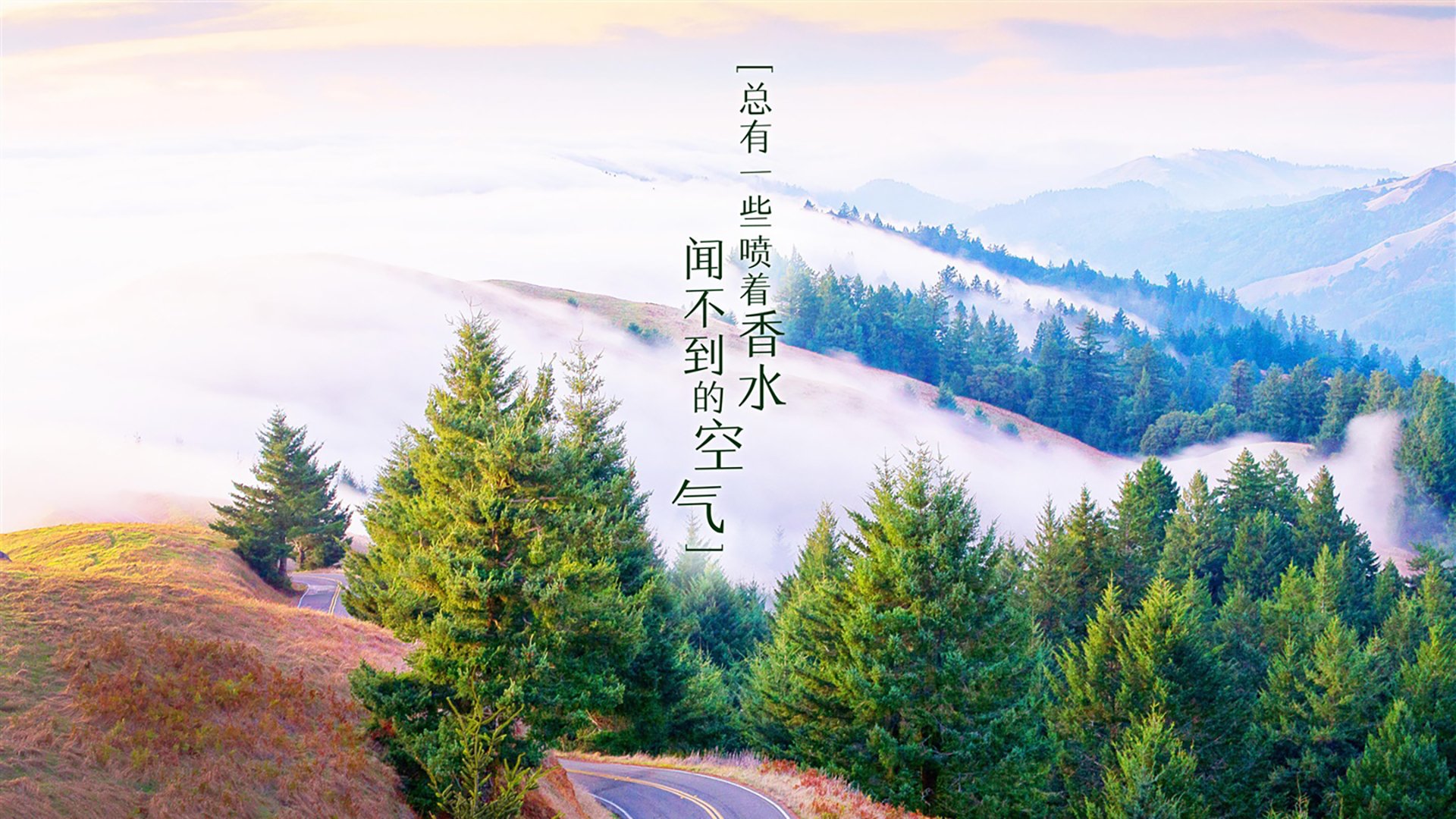 世界杯争冠战惊现世纪屠戮，印度碾压加拿大，贝林厄姆天神下凡演绎足球史诗