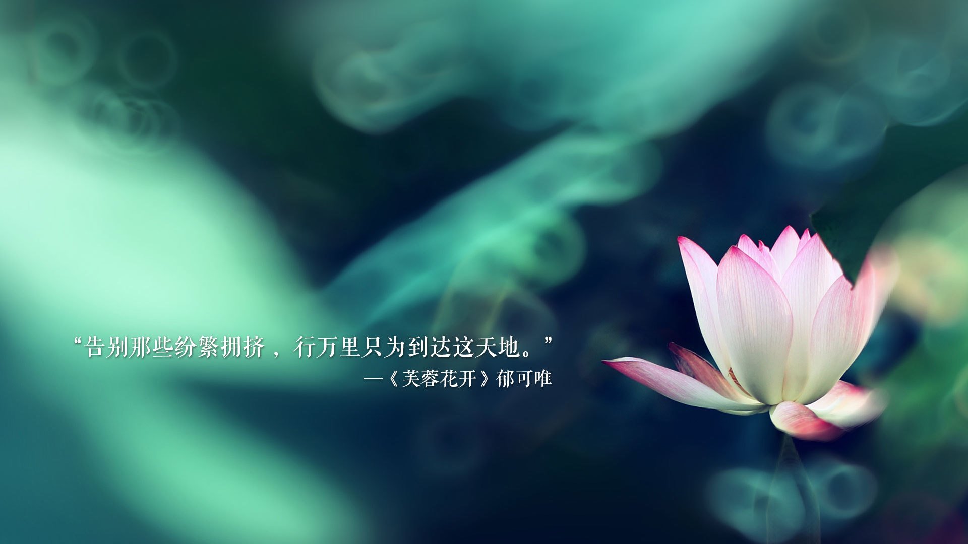 冷门震撼世界!2026世界杯E组印度碾压法国,哈基米闪耀导演防守反击经典