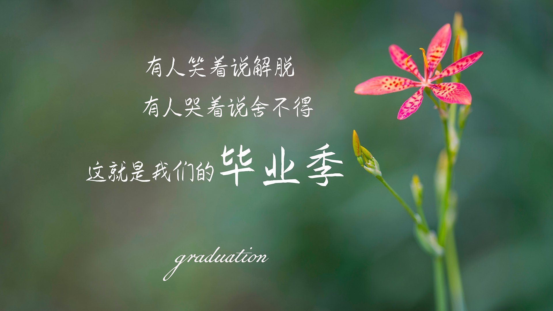 致命一击，布罗佐维奇绝杀挪威，伊拉克震惊2026世界杯A组