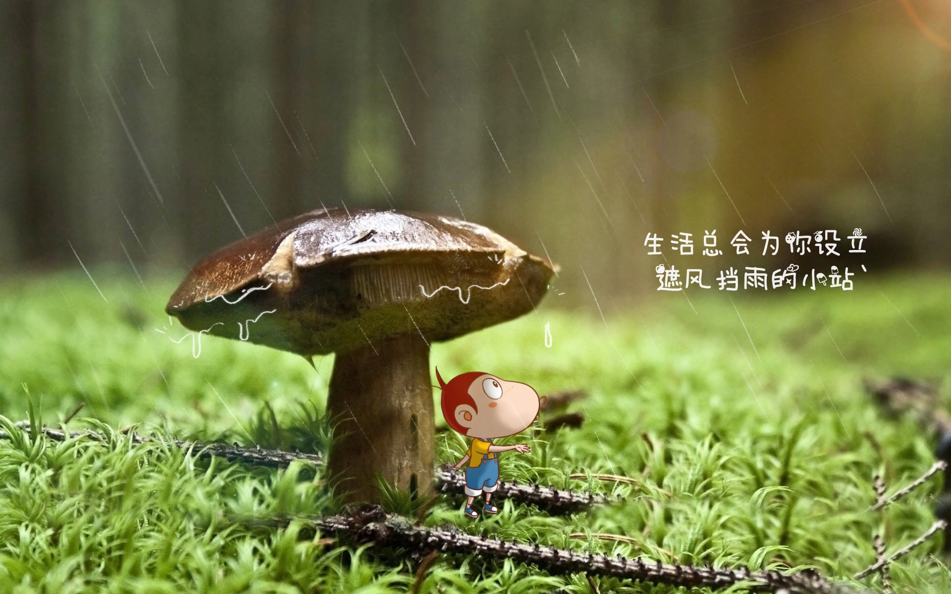 黑白直播在线观看-红魔咆哮震南半球,比利时铁骑碾碎袋鼠,苏亚雷斯演绎硬核传奇